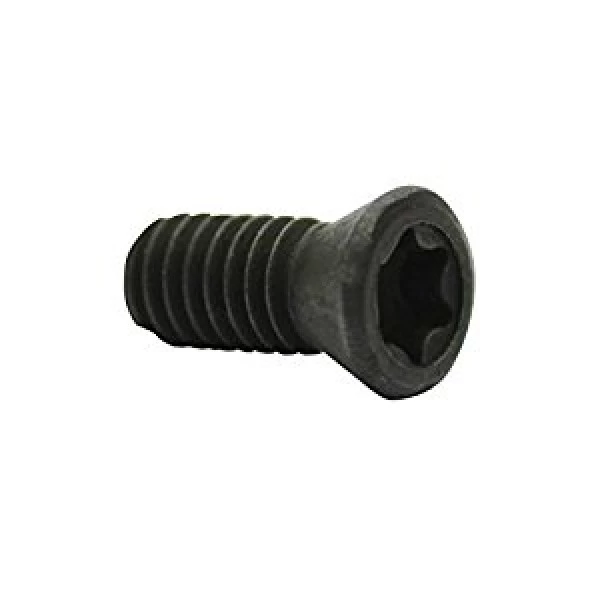 Varžtelis M2,5x4,5x6 TSPTI CMT 990.071.00